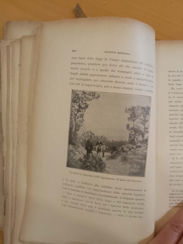 Il bosco del Garruso [sic!], Aspromonte