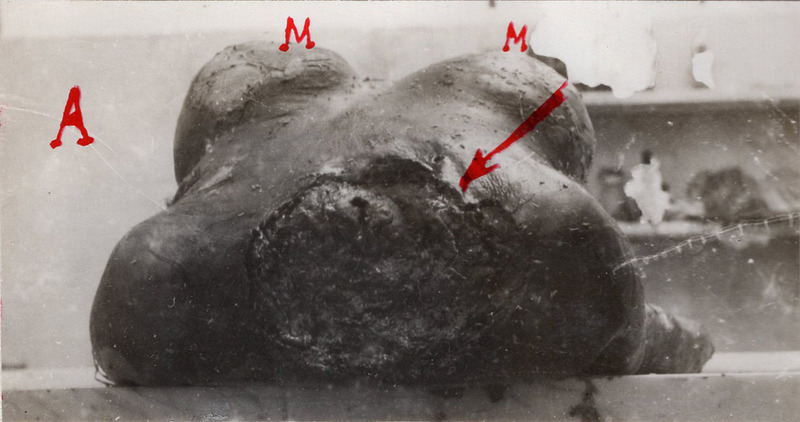 1945_genova_genova_ASge_assise_fascicolo381_045_det1