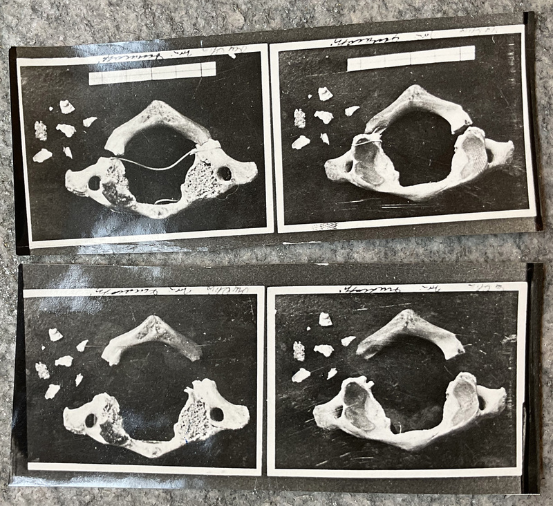 1938_bangkok_grande_GDP sezII 1274_033