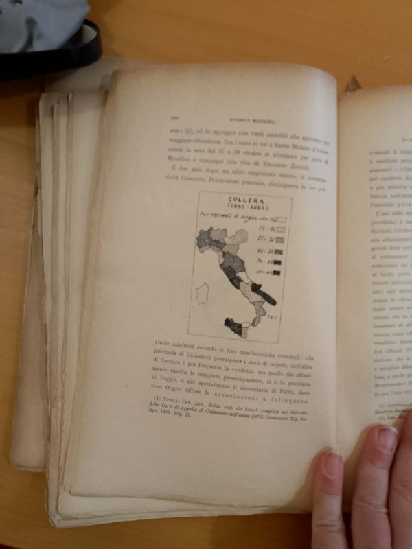 Distribuzione geografica dei reati di collera nelle aree amministrative del Regno d'Italia, 1880-1884