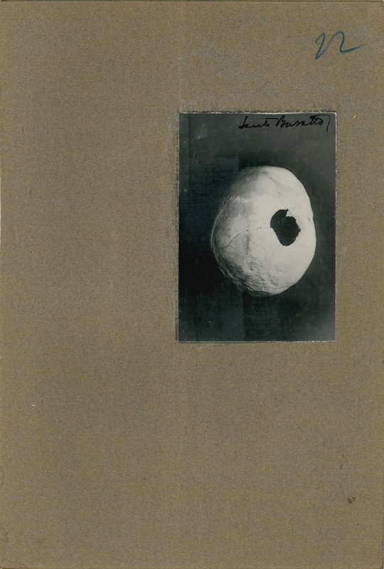 Il cranio di Francesco Bracchiglione