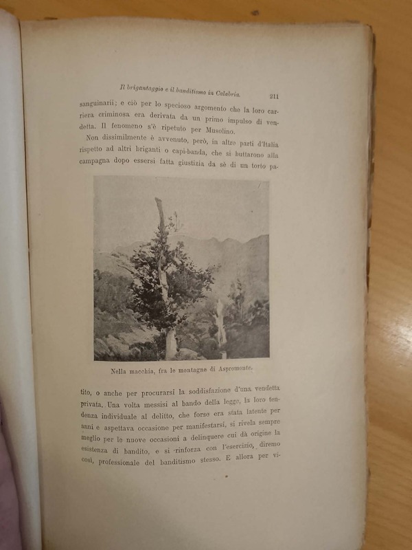 Nella macchia dell'Aspromonte