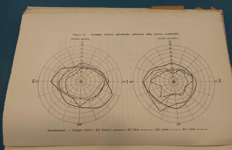 Campo visivo di Guido Casale