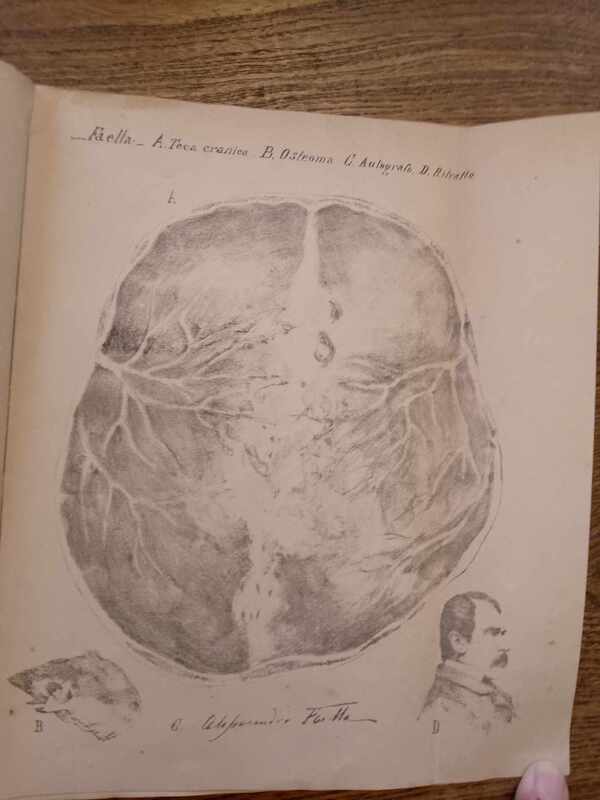 Reperti dell'omicida Alessandro Faella