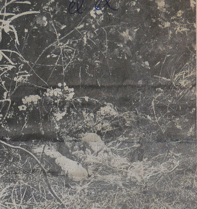 1953_aosta_chiabodo_GDP sezII 1290_036_det_1