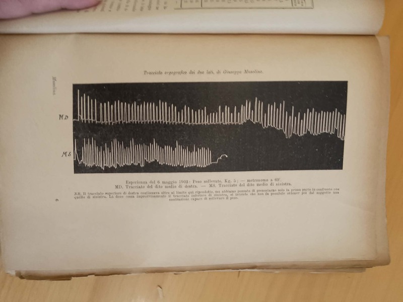 Diagramma ergografico di Giuseppe Musolino