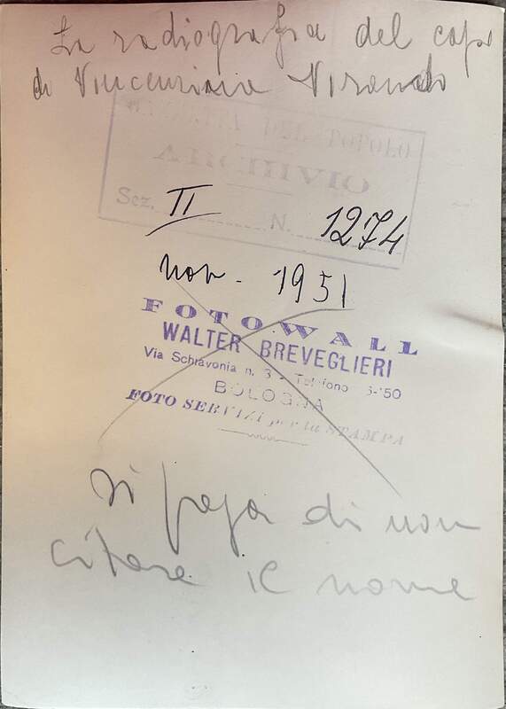 La radiografia del capo di Vincenzina Virando