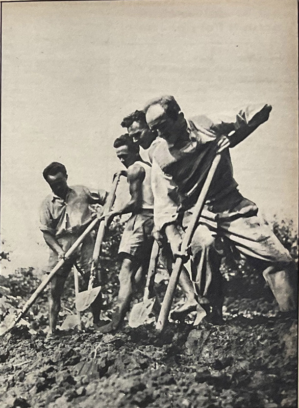 1953_aosta_chiabodo_le_ore_05_sett_03_det6