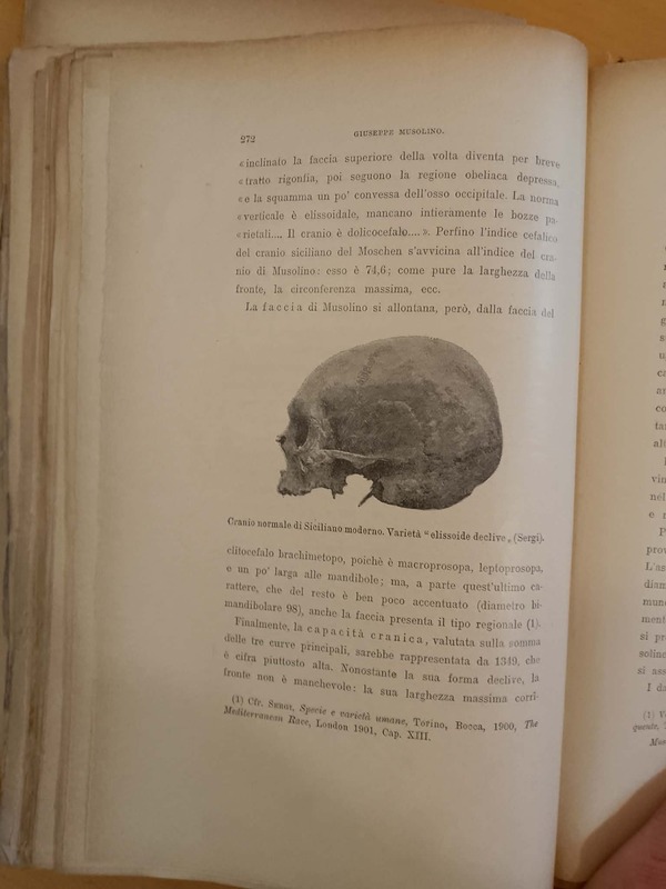 Immagine del documento