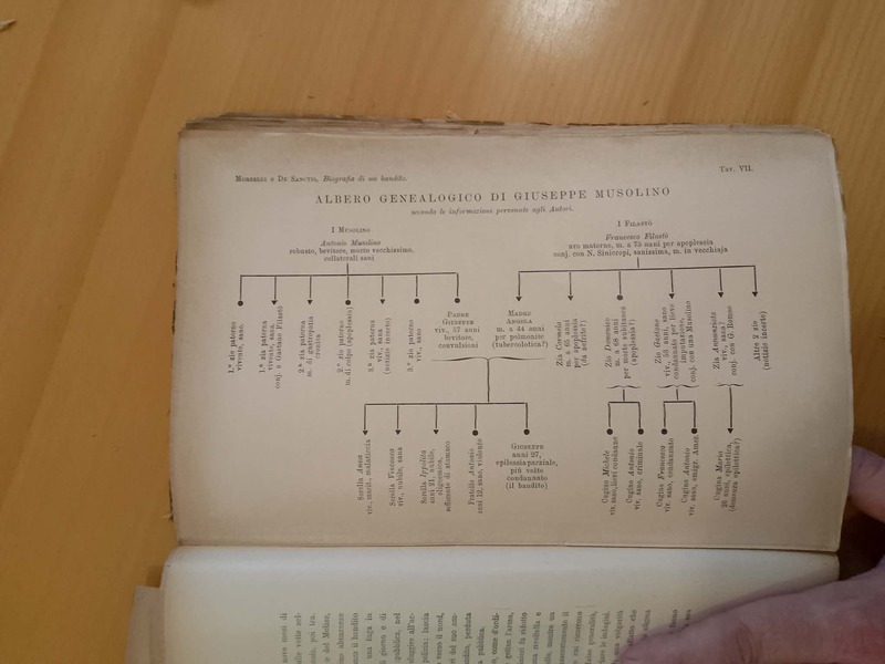 Albero genealogico di Giuseppe Musolino
