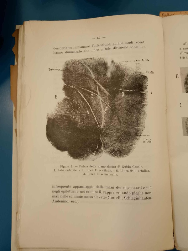 Palmo della mano di Guido Casale