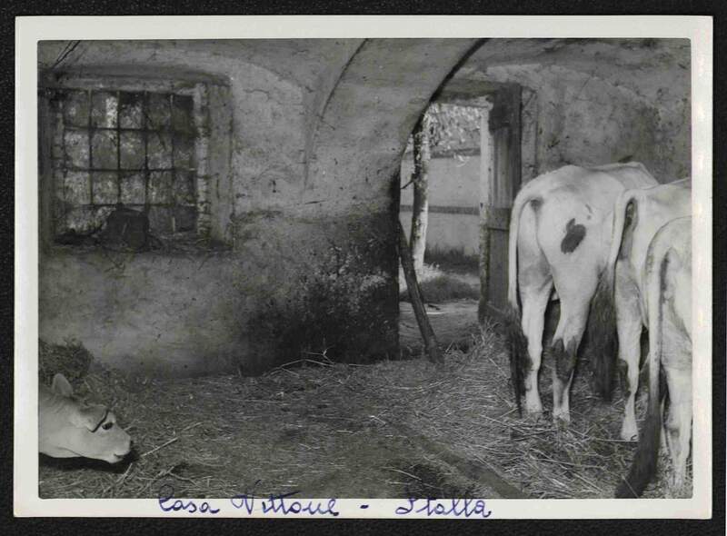 La stalla della cascina dei Vittone