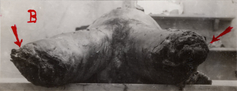 1945_genova_genova_ASge_assise_fascicolo381_045_det2