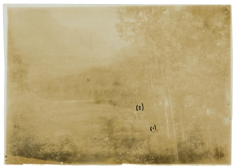 Ricostruzione del crimine secondo le testimonianze delle testi e della vittima