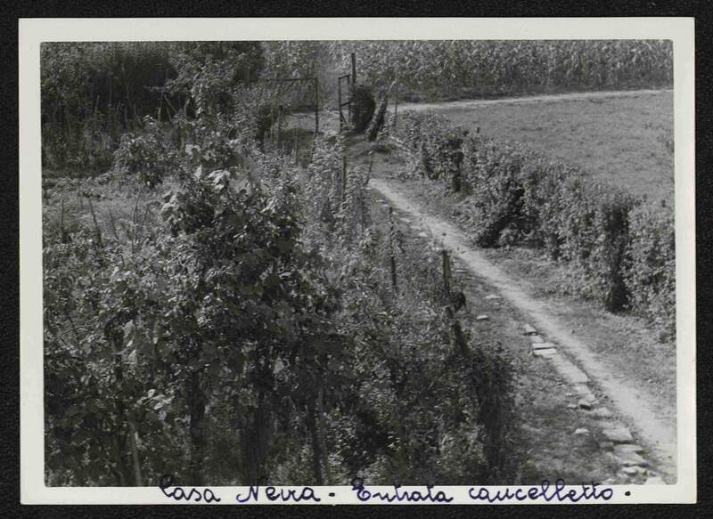 La strada di entrata alla cascina della famiglia Neira