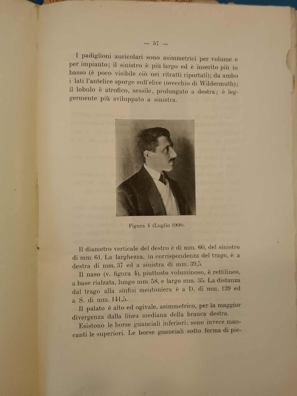 Ritratto di profilo di Guido Casale