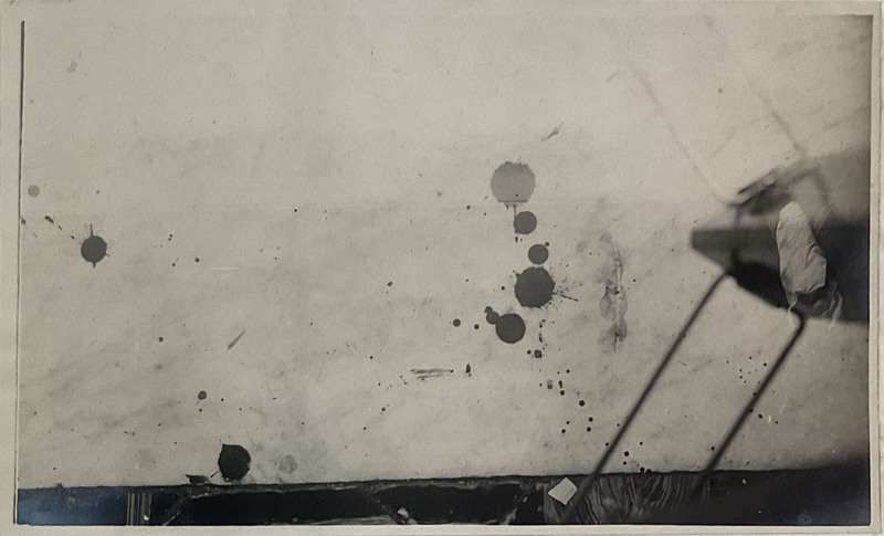 1929_napoli_lofaro_ASna_corte_di_assise_fascicolo_230_043_det