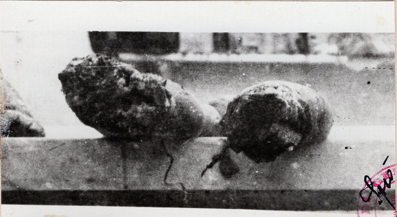 1945_genova_genova_ASge_assise_fascicolo381_019_det2