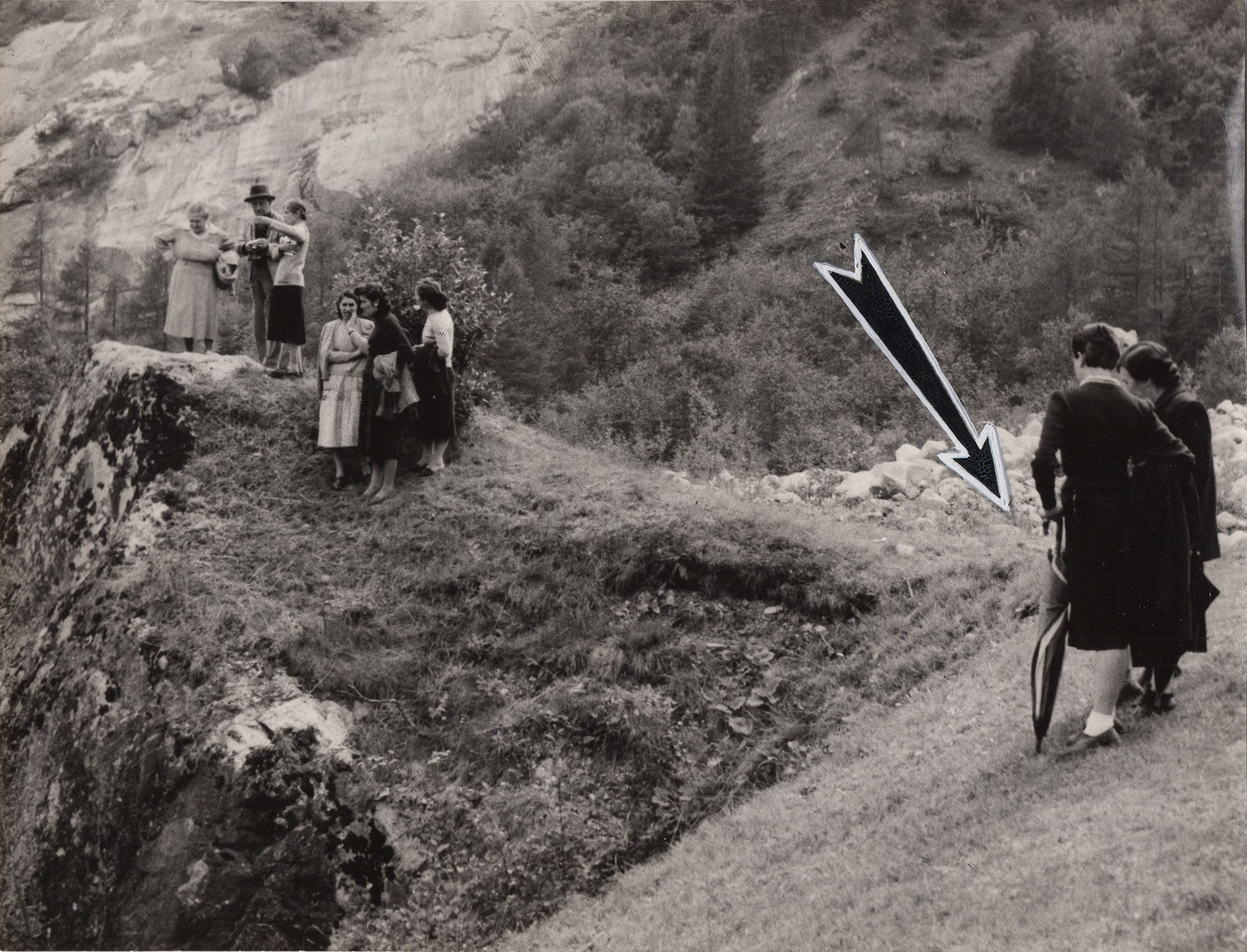 Località montana, parco, bosco o giardino