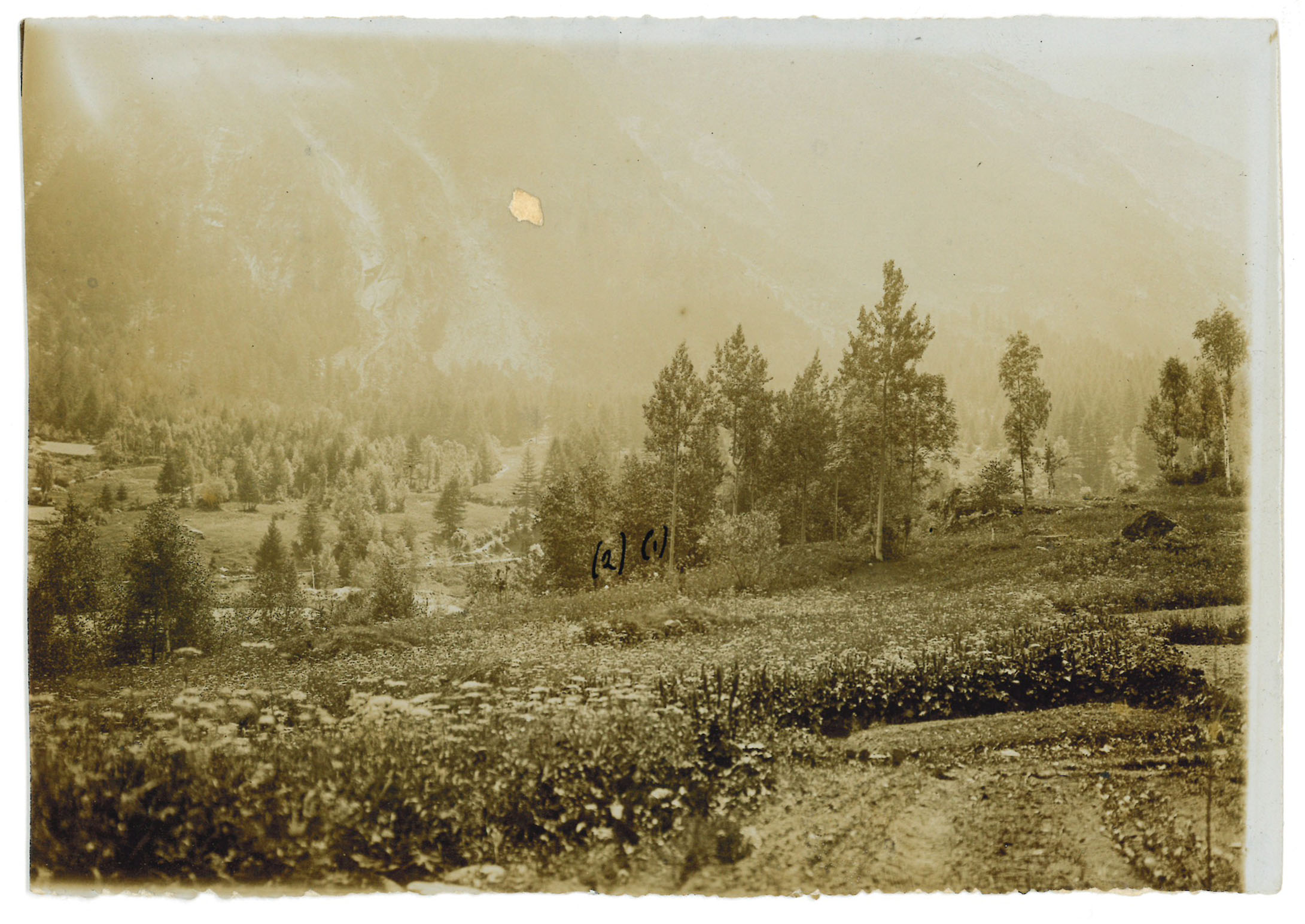 Ricostruzione del crimine secondo le testimonianze delle testi e della vittima