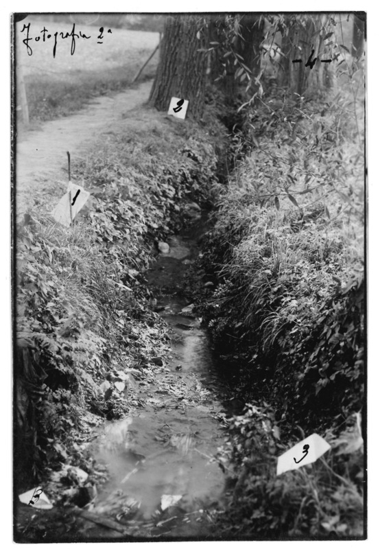 Pasteris Medardo, "la banda del Lungo"