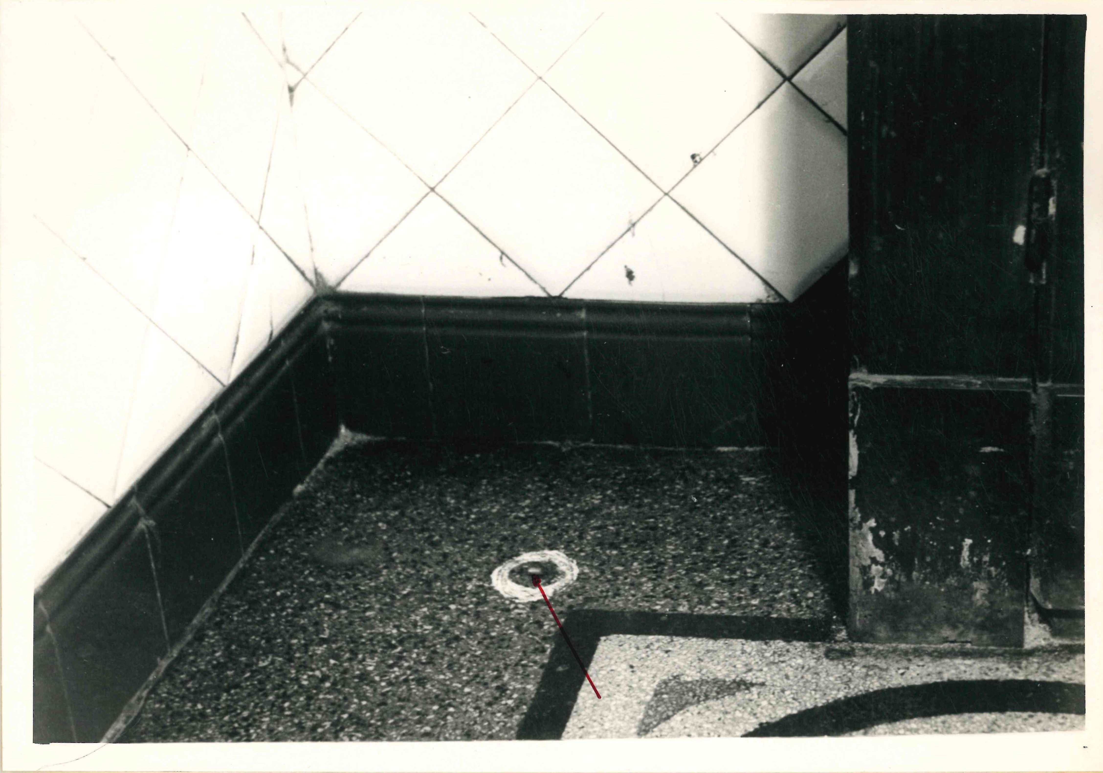 1954_genova_giannelli_tribunalegenova_fasc115-54_011_det