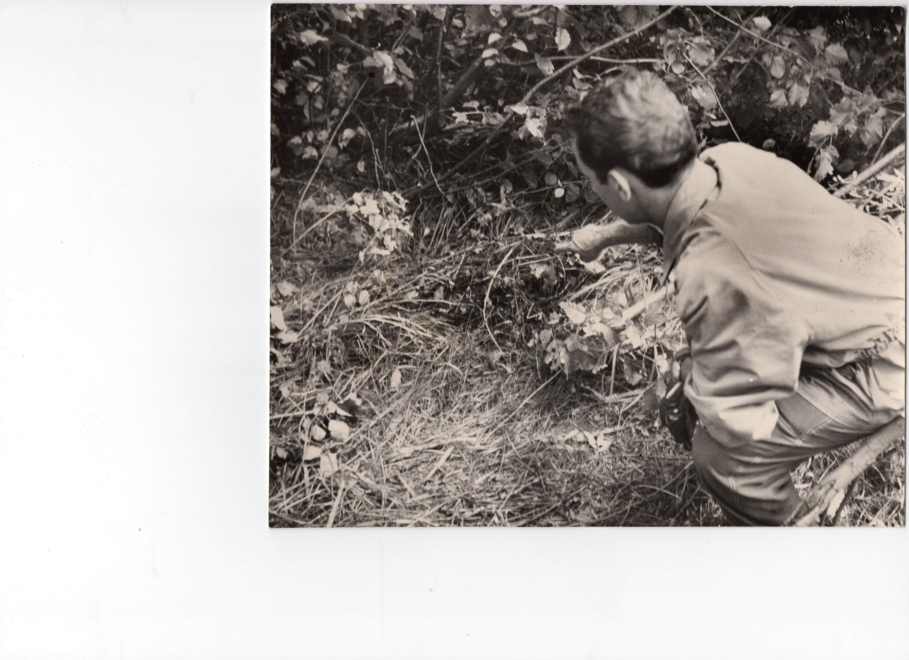 1953_aosta_chiabodo_GDP-sezII-1290_019nc