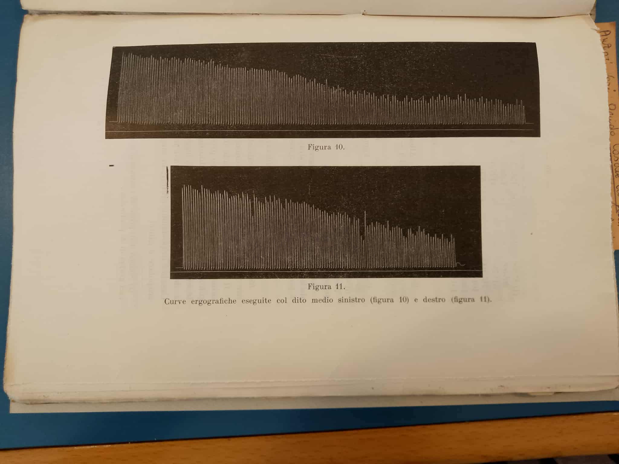 Curva ergografica di Guido Casale