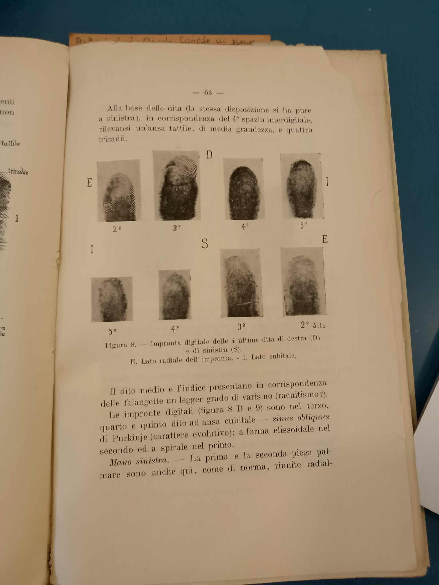 Impronte digitali di Guido Casale