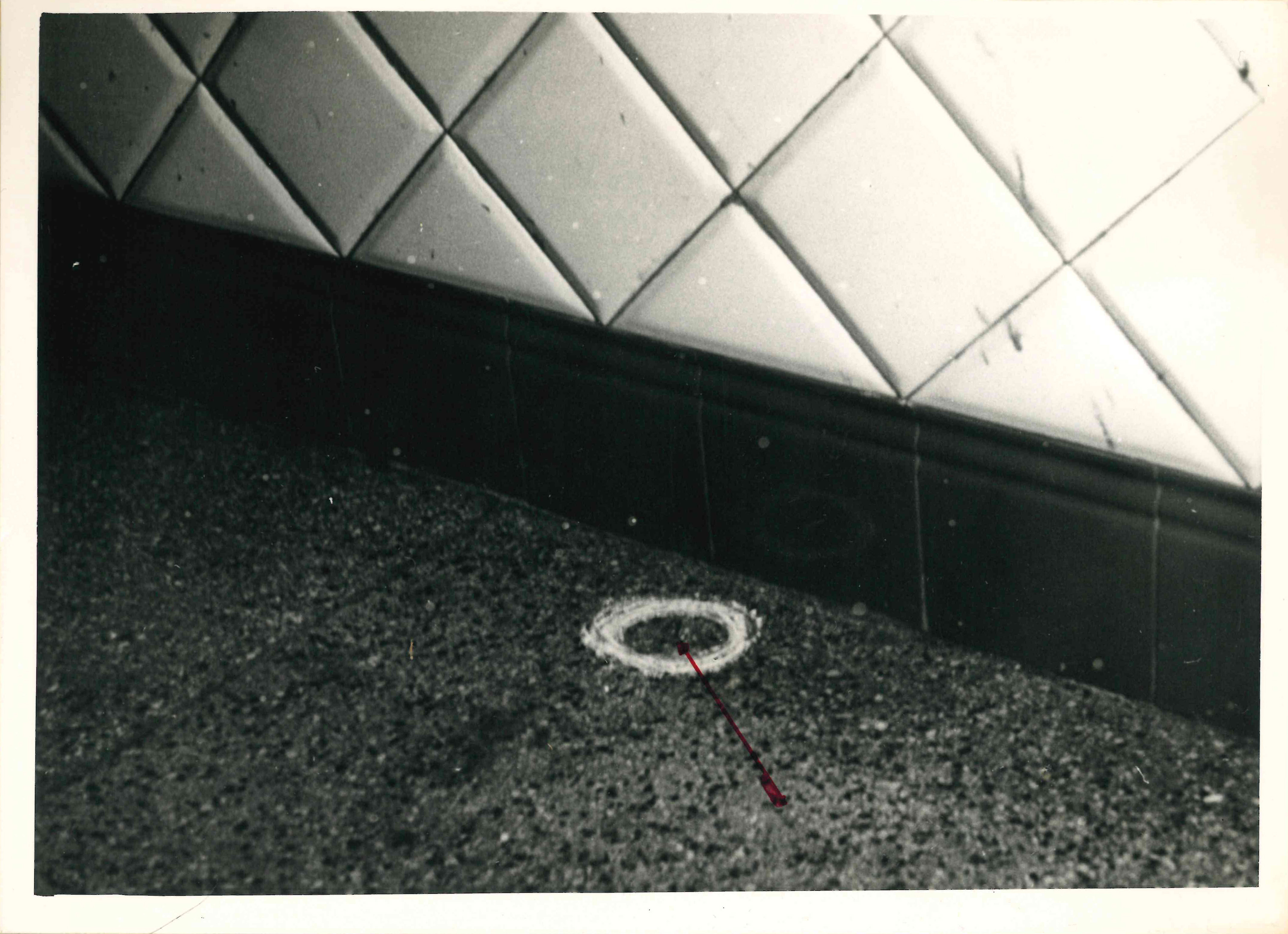 1954_genova_giannelli_tribunalegenova_fasc115-54_010_det