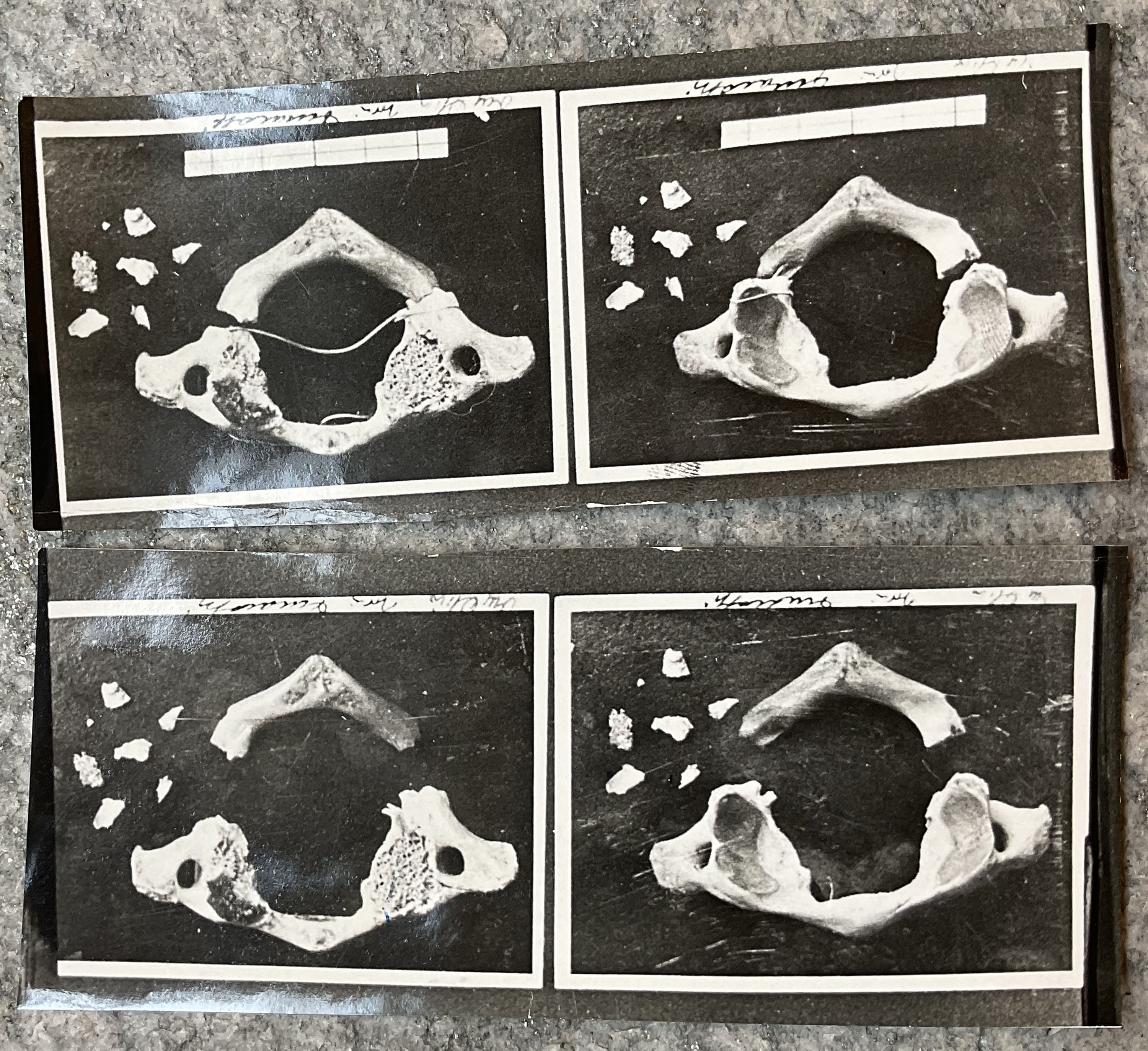 1938_bangkok_grande_GDP sezII 1274_033