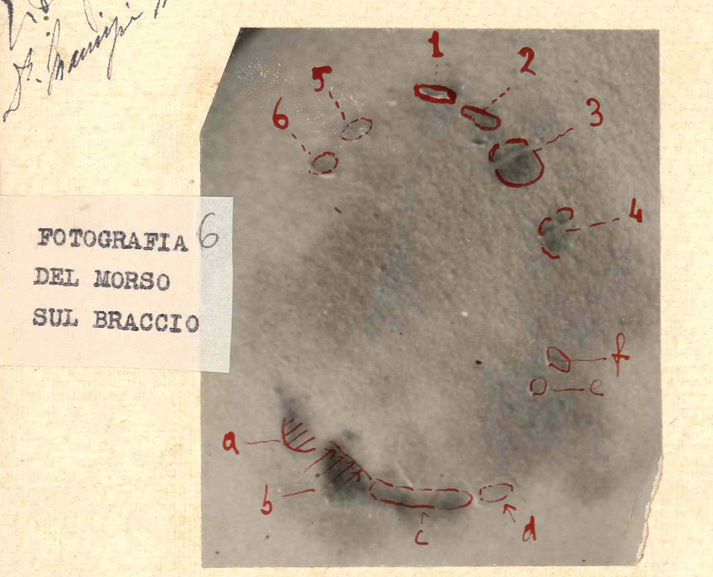 1930_torino_vercesi_asto_mazzo103-2_022_1