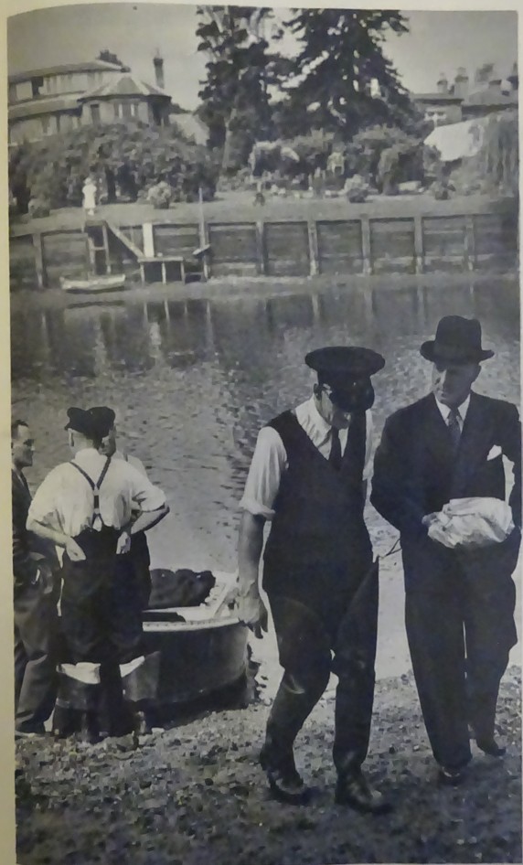 EPC-a4-n142-1953-06-21-019-01