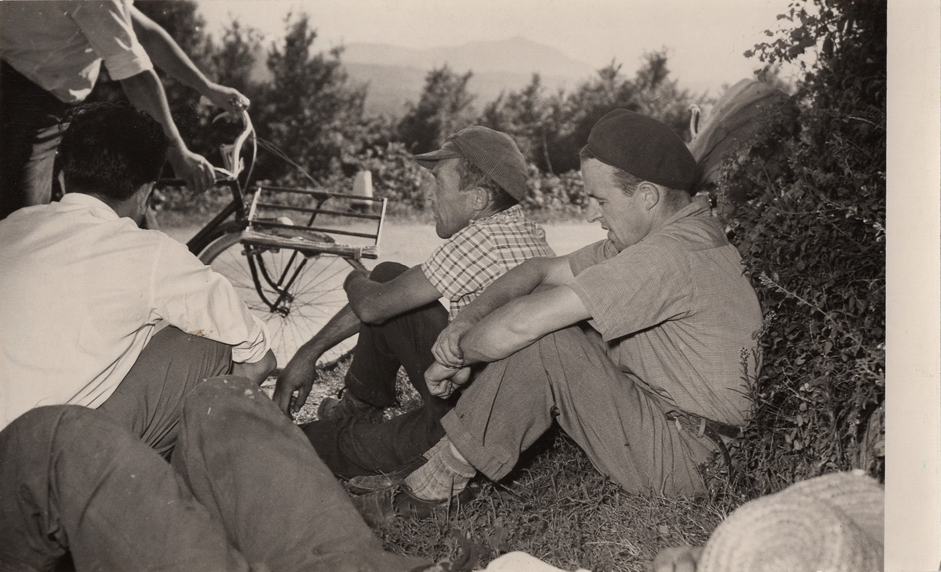 1952_torino_codeca_GDP sezII 1183A_066_det