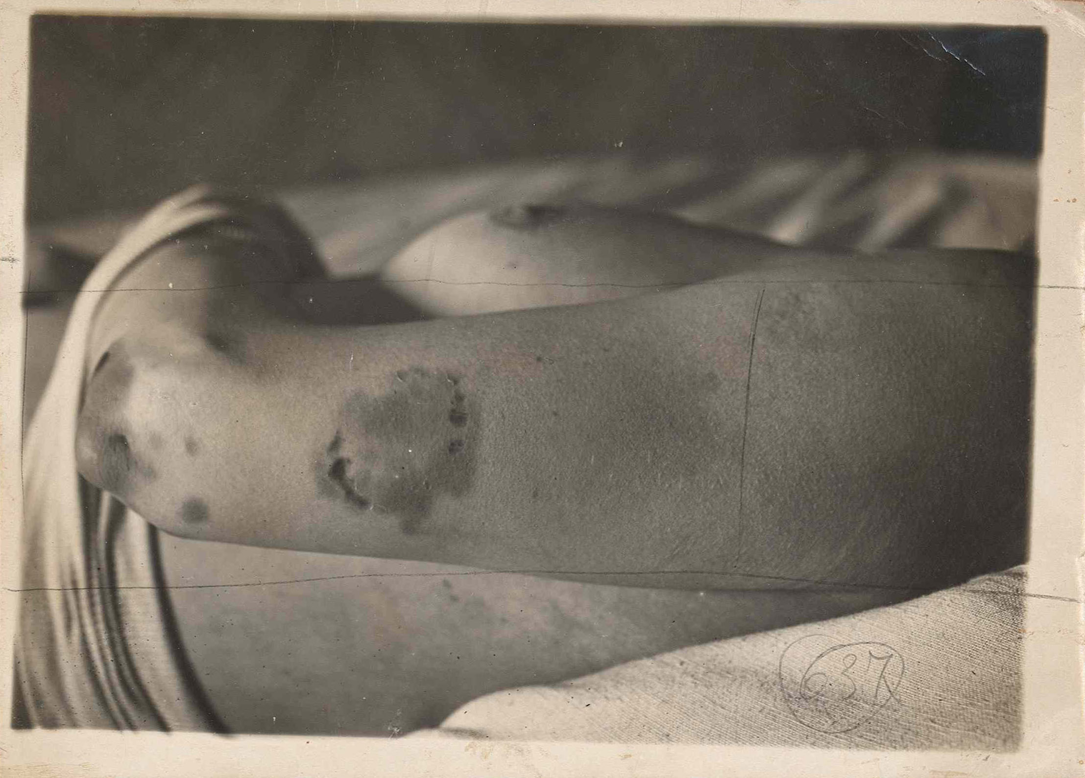 1930_torino_vercesi_asto_mazzo103-2_008b