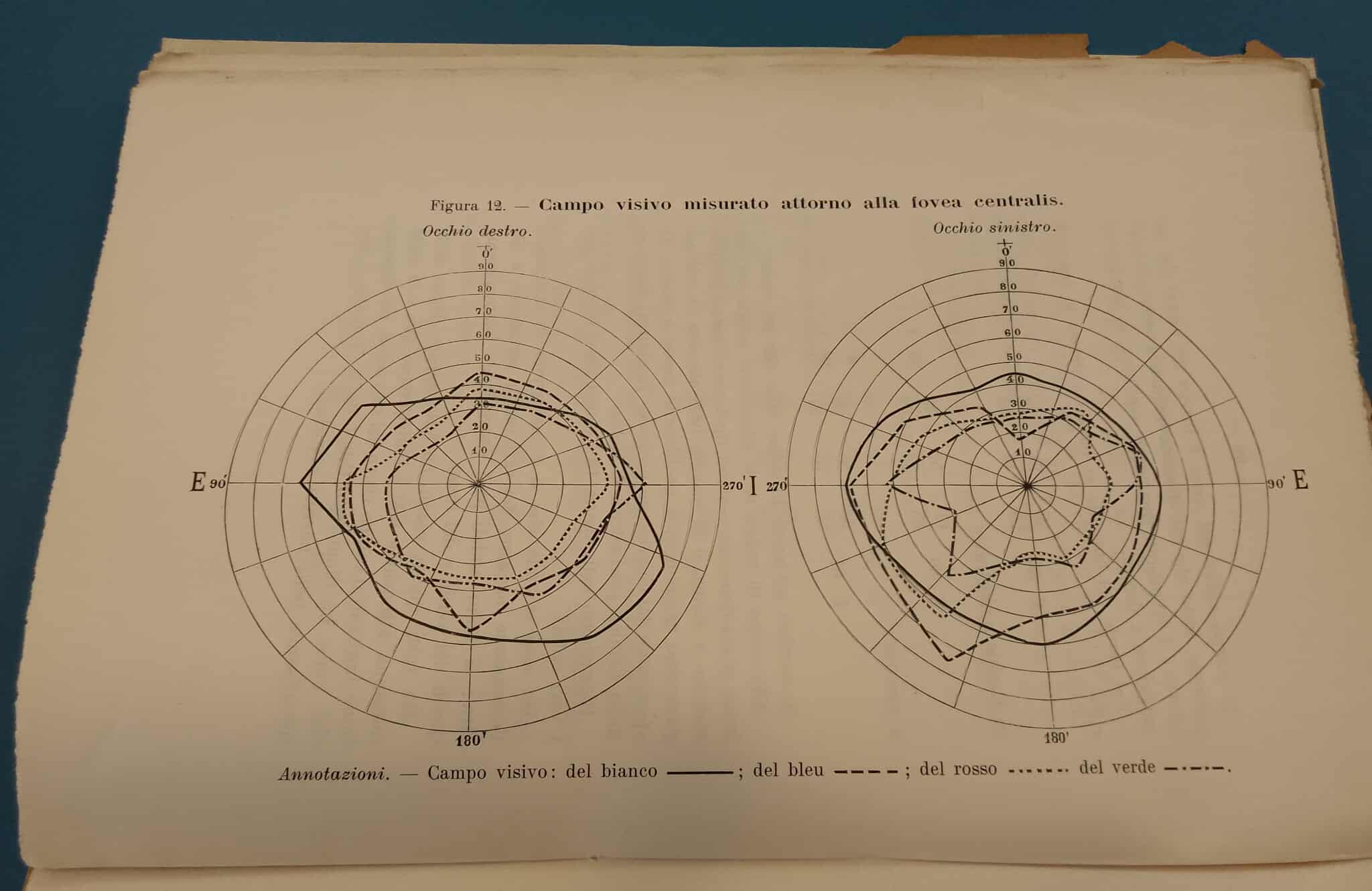 Campo visivo di Guido Casale
