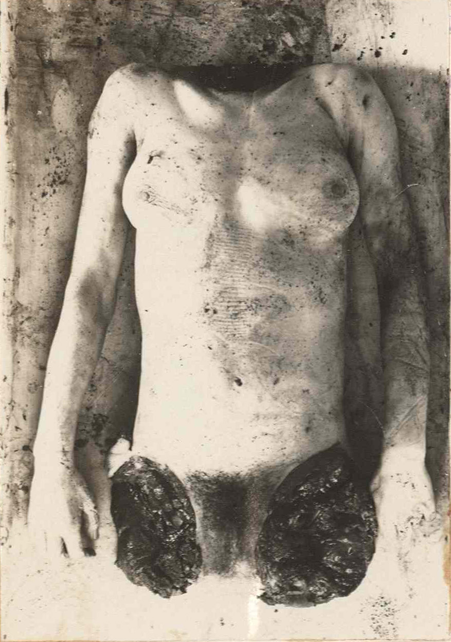 1925_torino_cattaneo_asto_mazzo90_023a_det