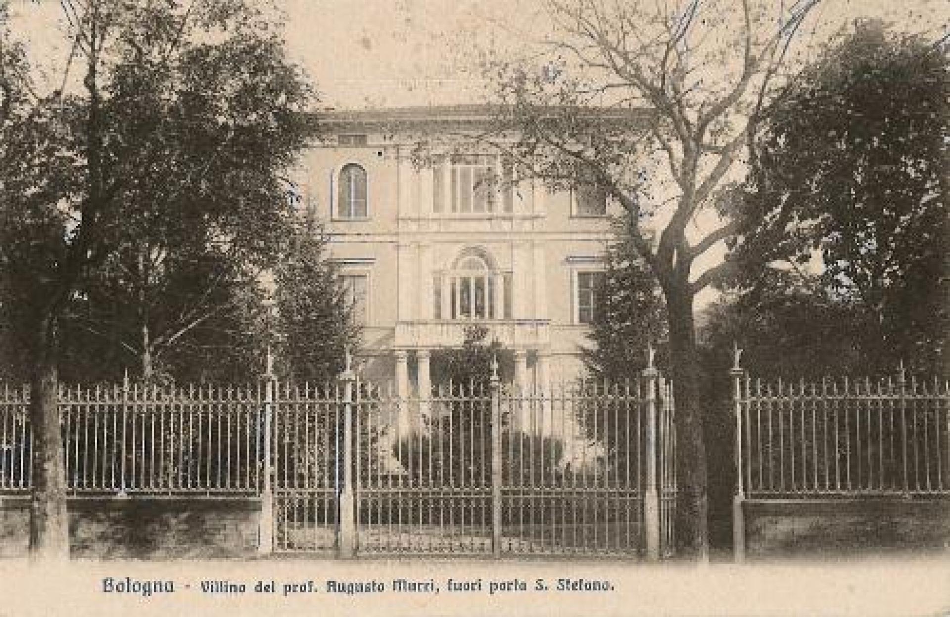 Immagine del documento