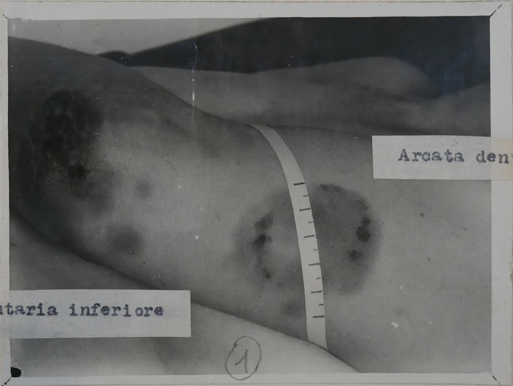 1930_torino_vercesi_asto_mazzo103-2_020_1