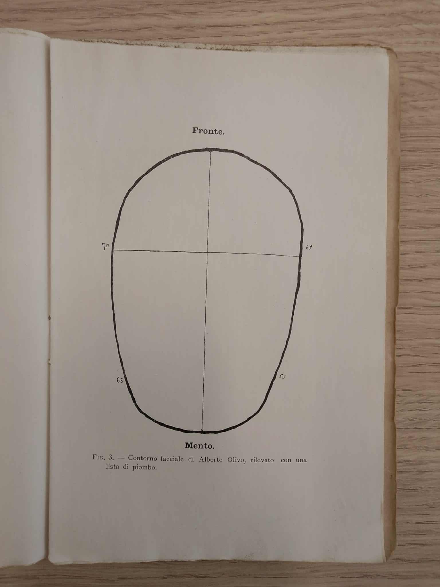Contorno del volto di Alberto Olivo