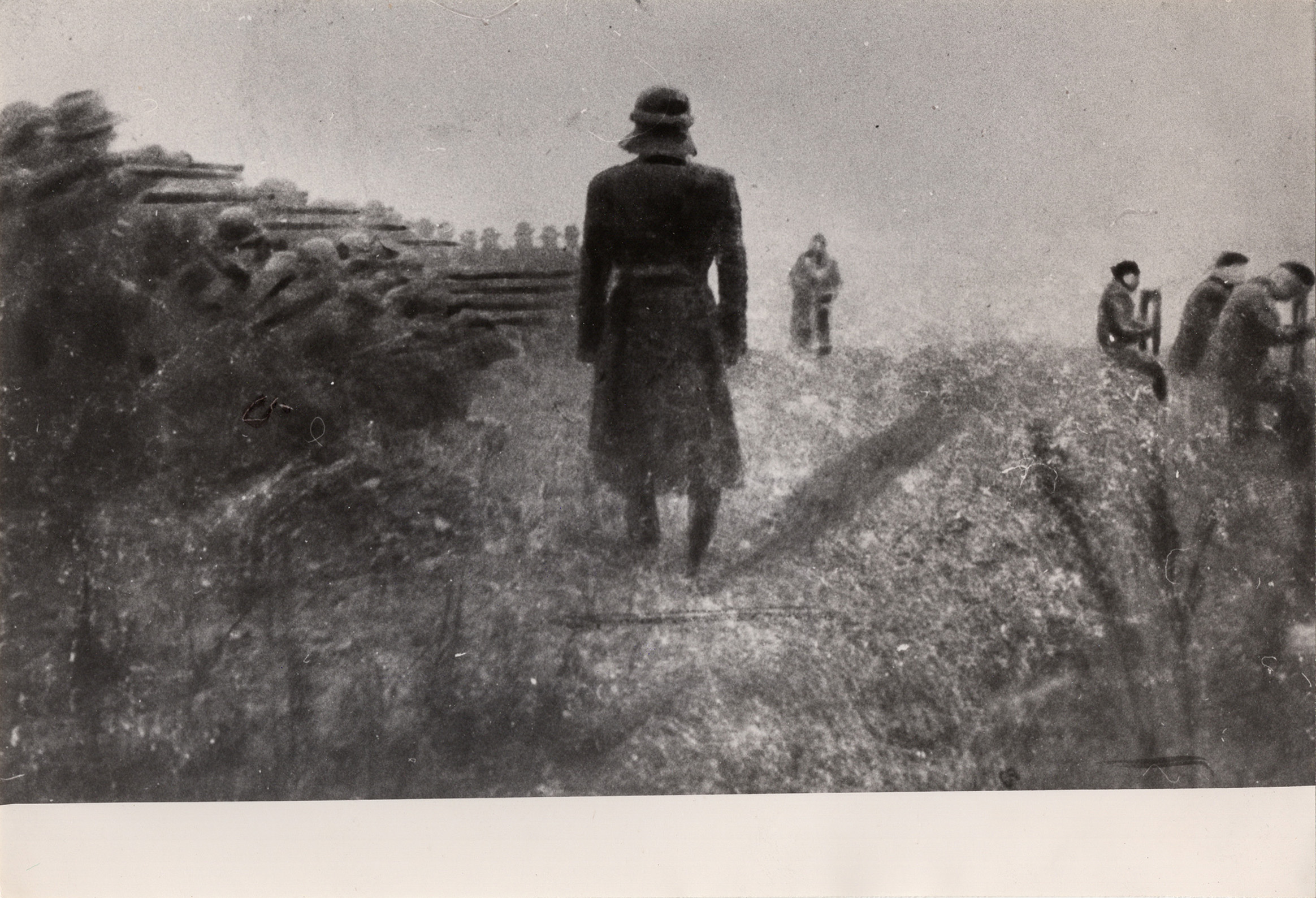 1945_villarbasse_GDP sezII 726D_023 blu_det