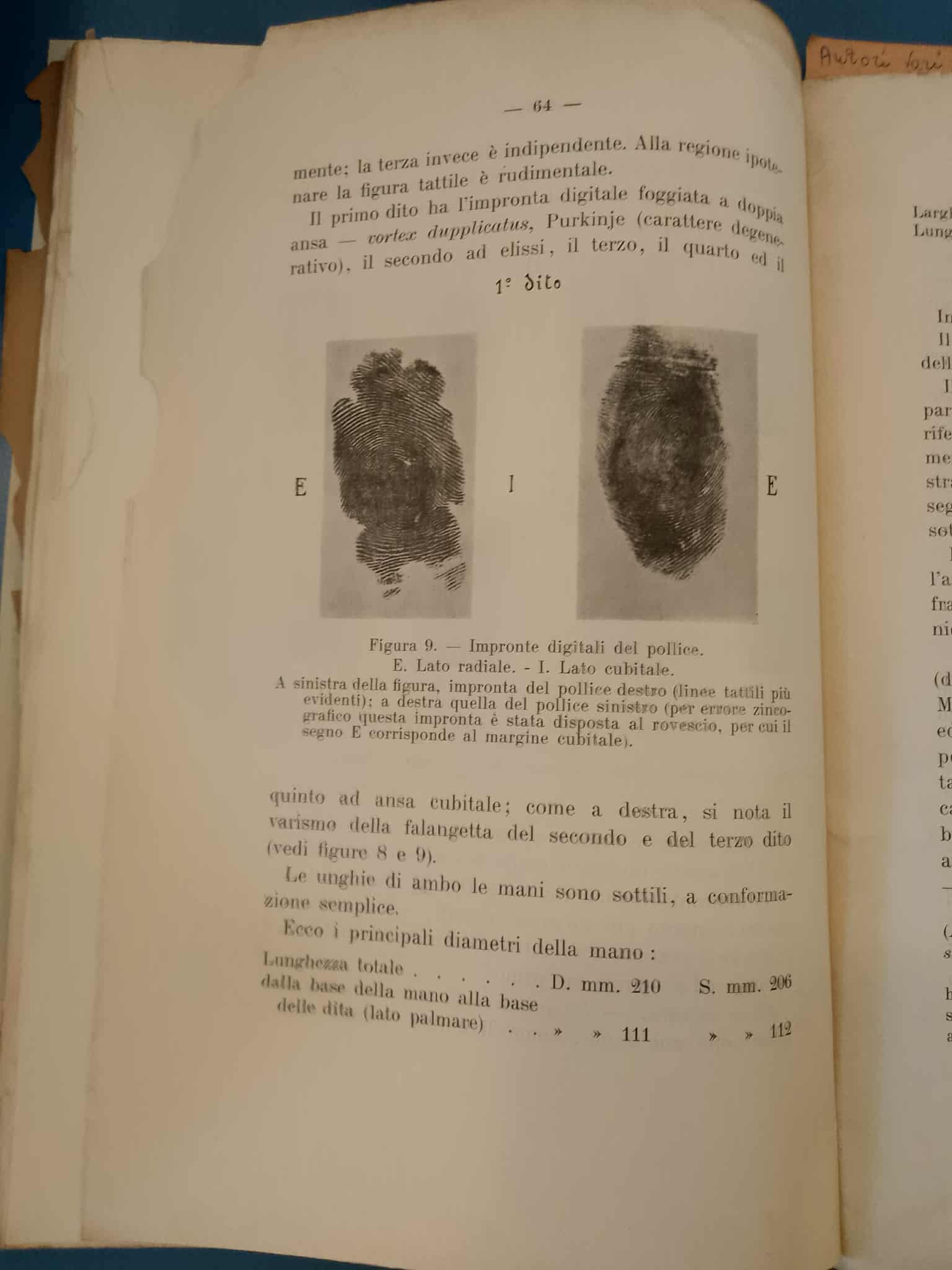 Impronte digitali dei pollici di Guido Casale