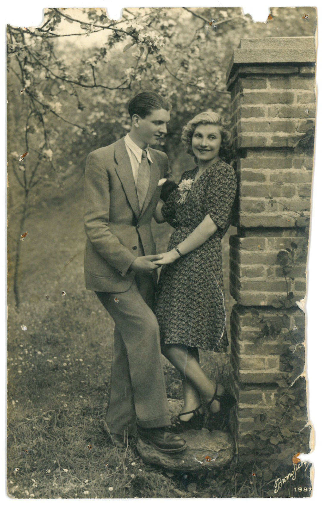 Cartolina postale indirizzata a Angela Romele da Pasquale Procopio