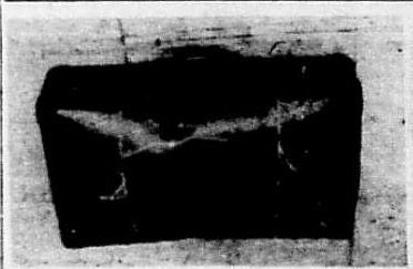 1945_genova_genova_secolo_xix_21_dicembre_a