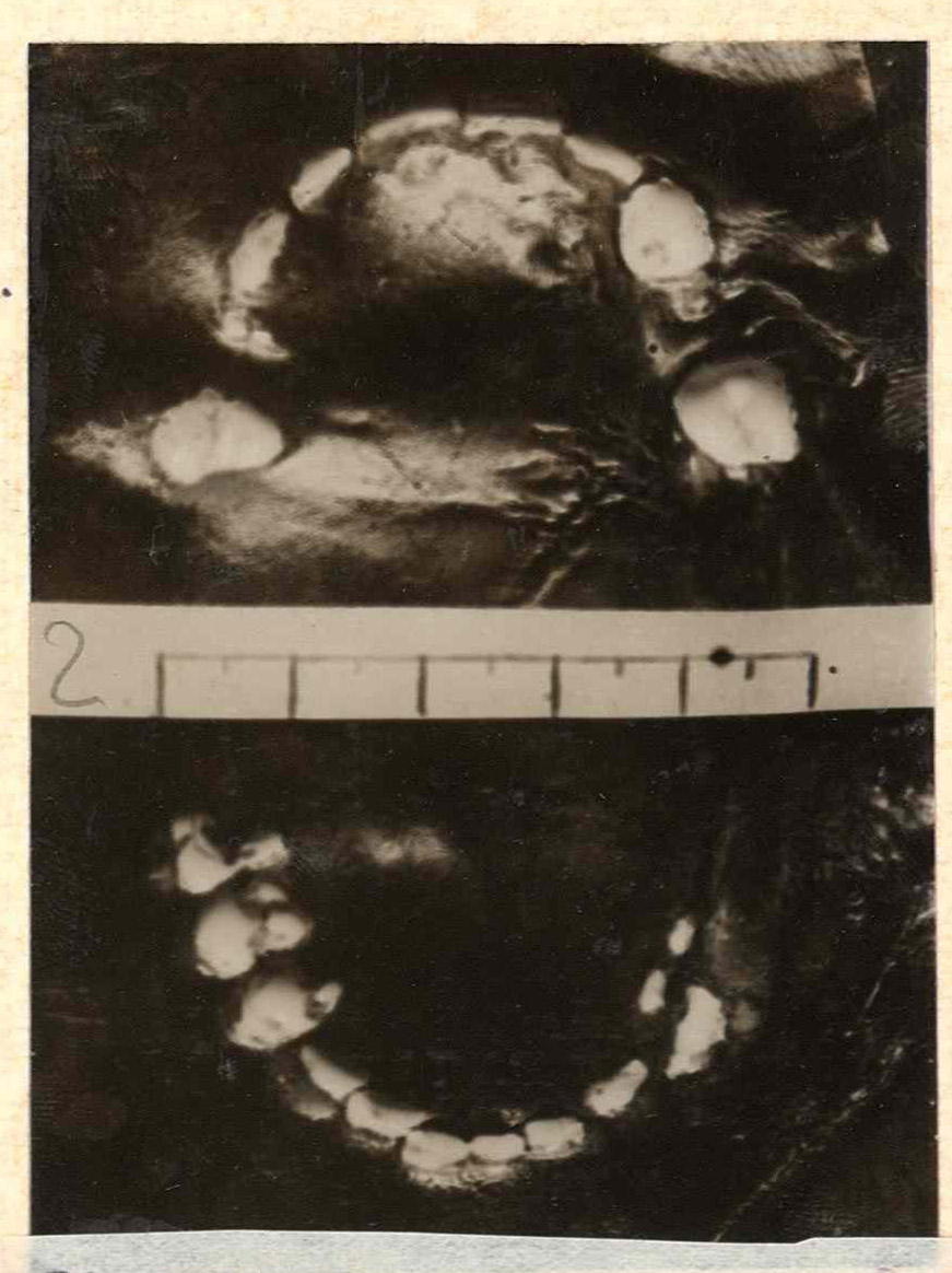 1930_torino_vercesi_asto_mazzo103-2_021_1