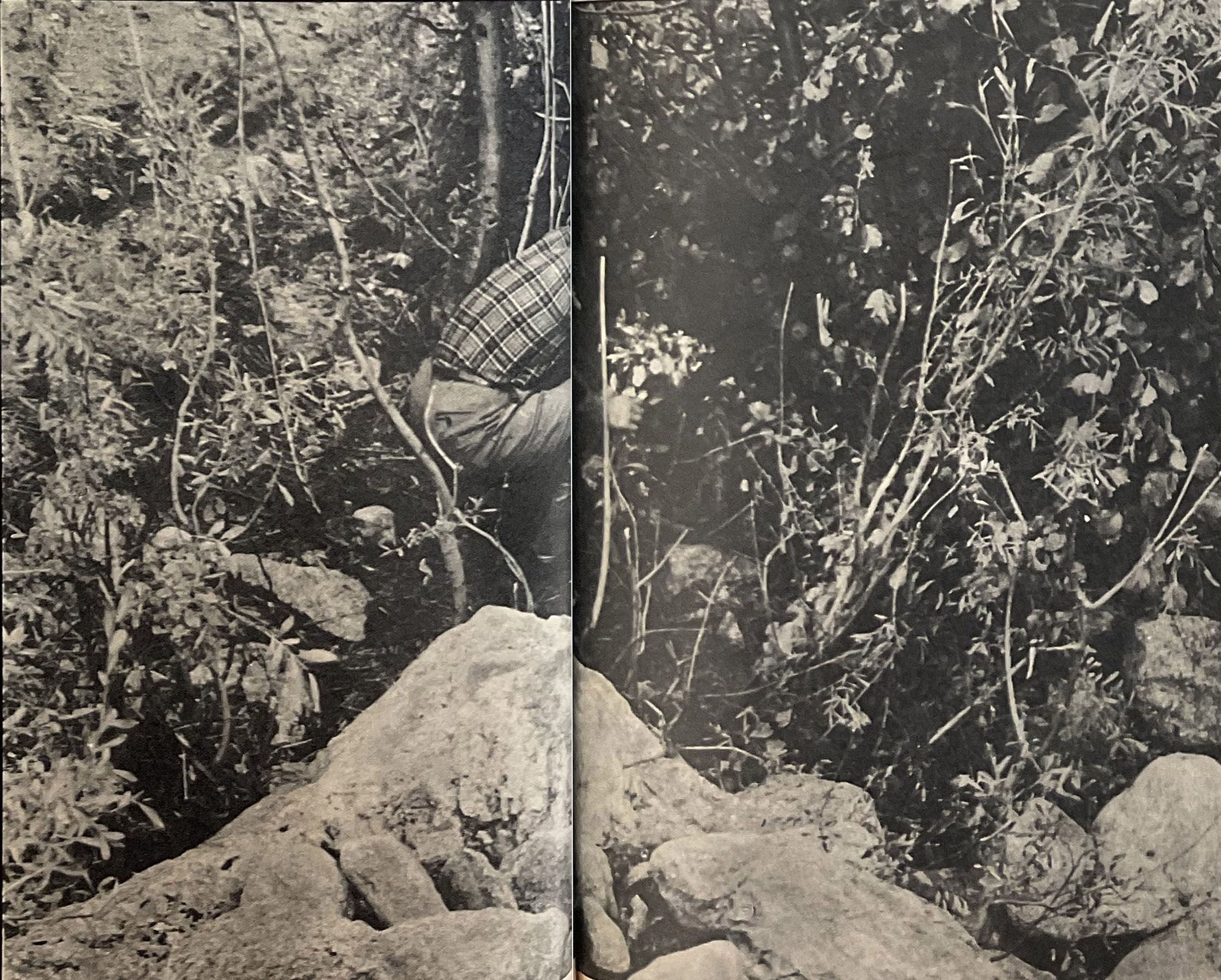 1953_aosta_chiabodo_le_ore_26_sett_01_det5