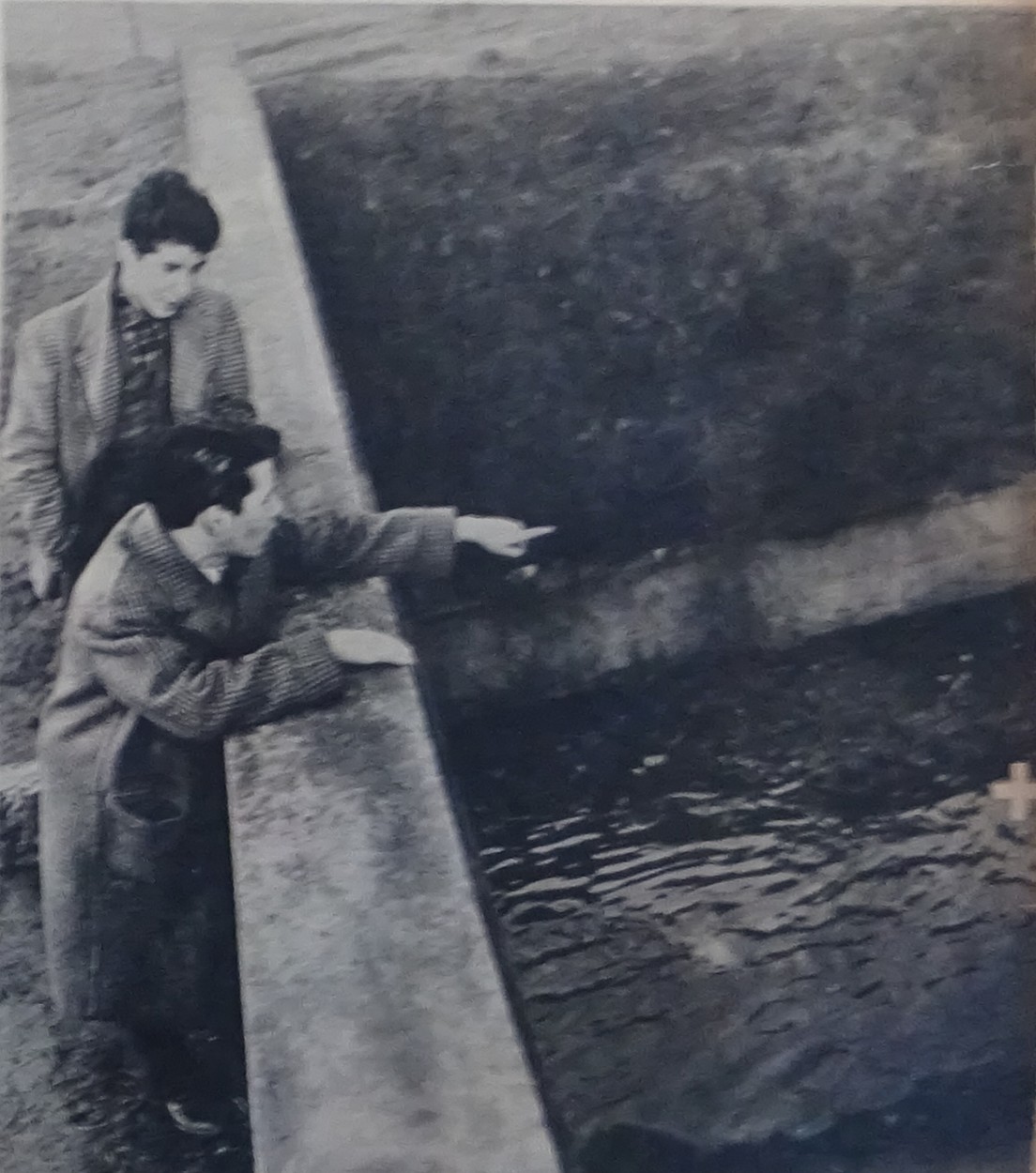 EPC-a4-n123-1953-02-14-065-D