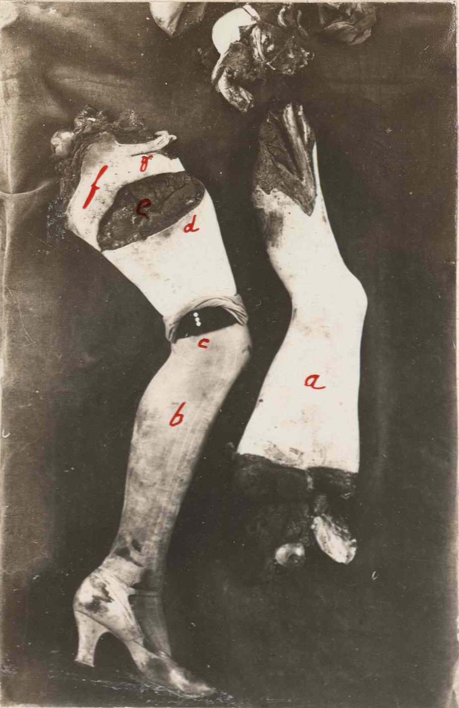 1925_torino_cattaneo_asto_mazzo90_017a_det