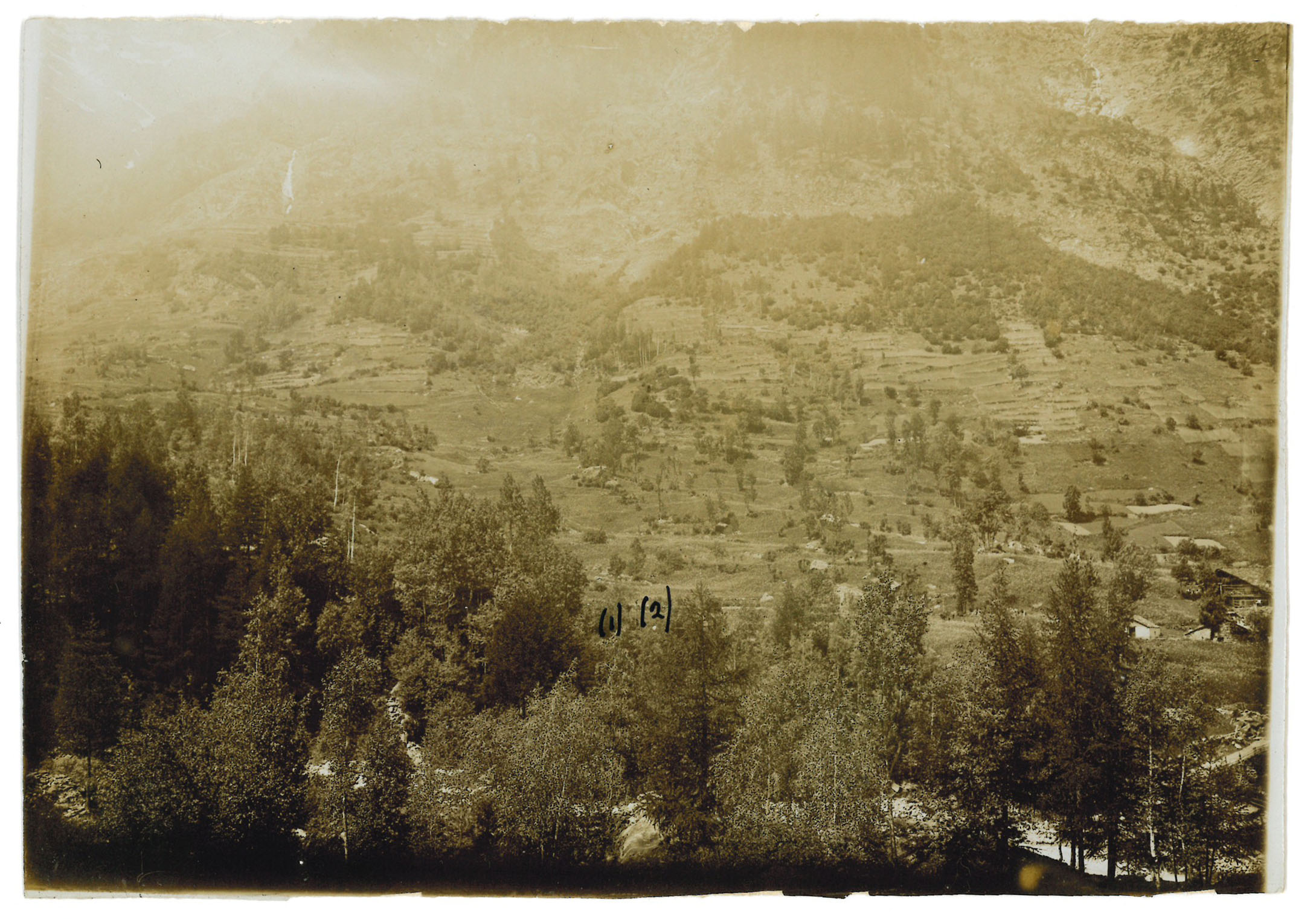 Ricostruzione del crimine secondo le testimonianze delle testi e della vittima