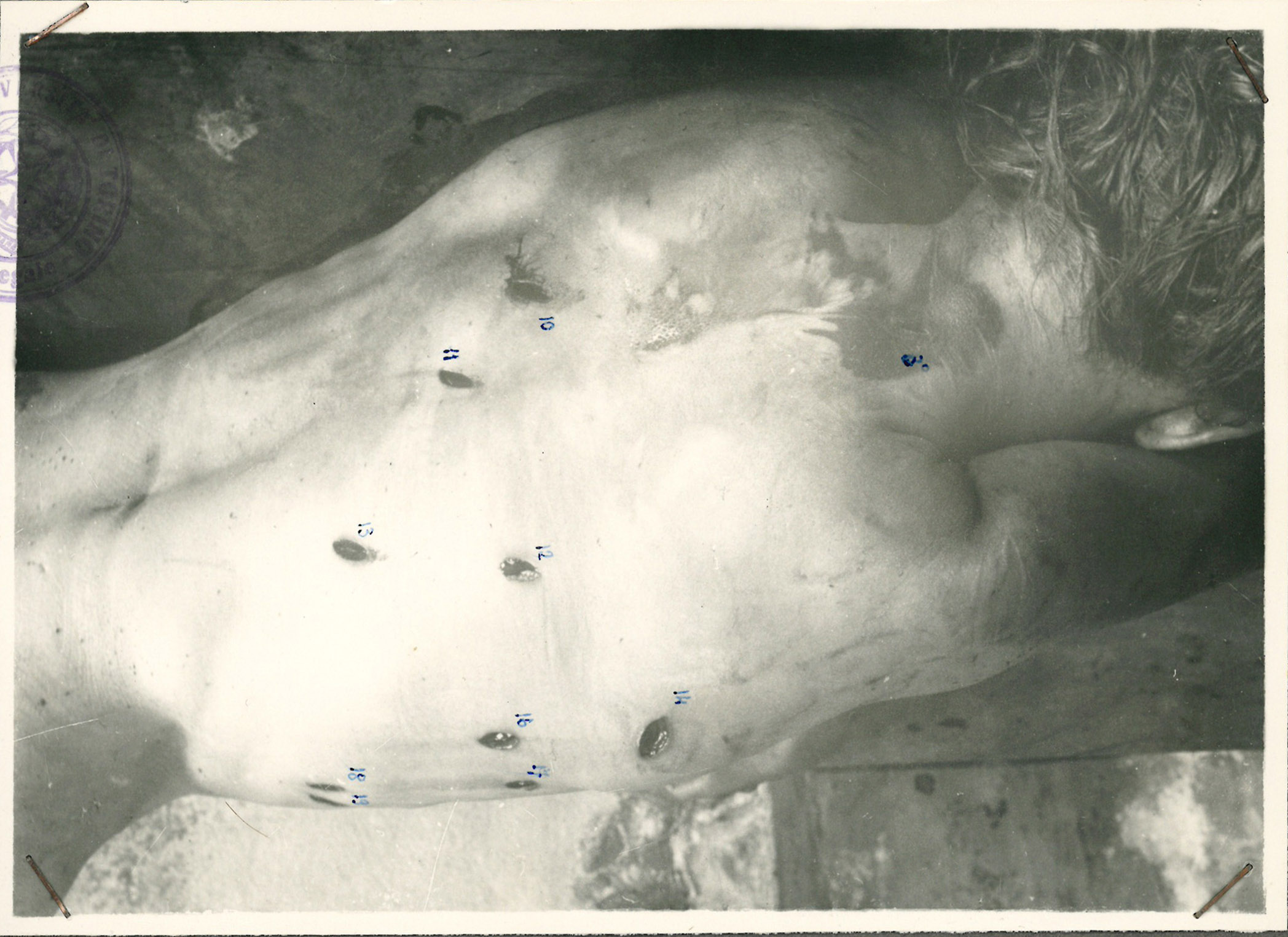 1953_aosta_chiabodo_fascicolo7-54_1-55_002_det_1